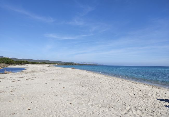 Appartamento a Capo Comino - SUITE MIMOSA 4 - LE DIMORE FIORITE DI COMINO