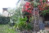 Chalet in Ottiolu - VILLETTA 50 METRI SPIAGGIA 6 PAX FPO-FARC01T