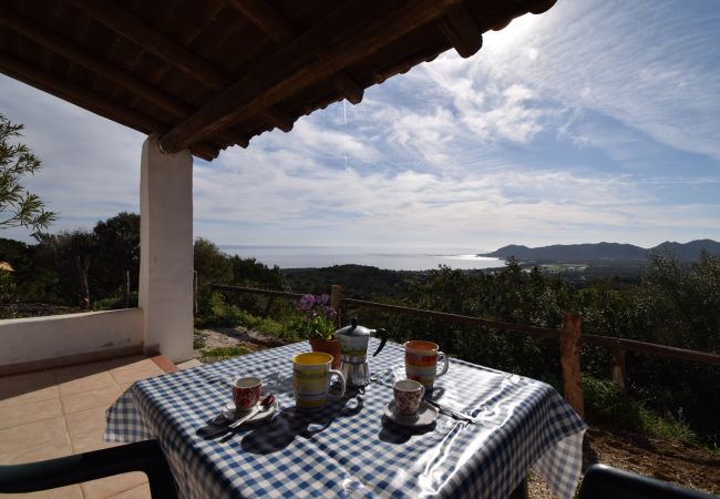 Ferienwohnung in Capo Comino - SUITE LAVANDA 2 - LE DIMORE FIORITE DI COMINO