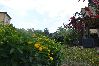 Chalet in Ottiolu - VILLETTA 50 METRI SPIAGGIA 6 PAX FPO-FARC01T