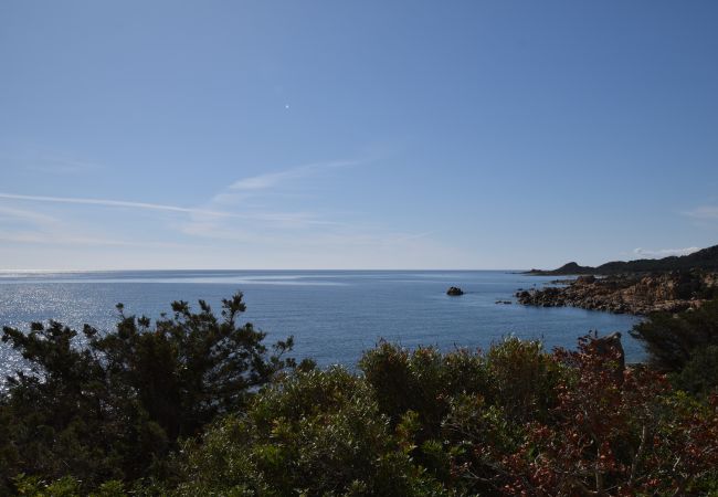 Apartment in Capo Comino - RESIDENCE ROSA 13 - THE FLOWERING HOMES OF COMINO