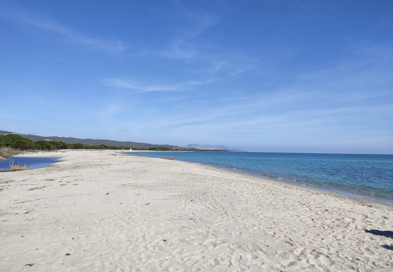 Apartment in Capo Comino - SUITE MIMOSA 4 - LE DIMORE FIORITE DI COMINO